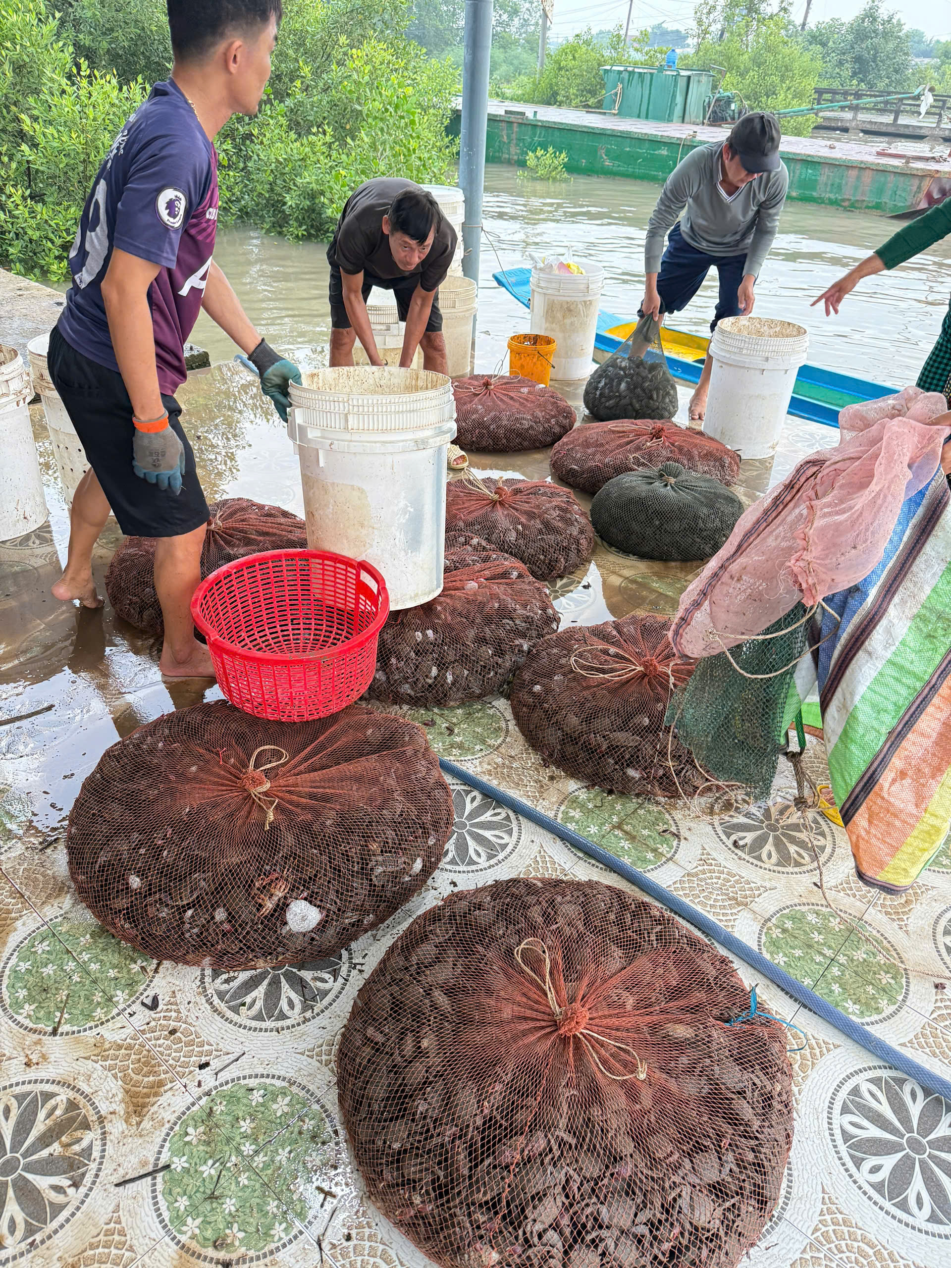 Anh-tin-bai