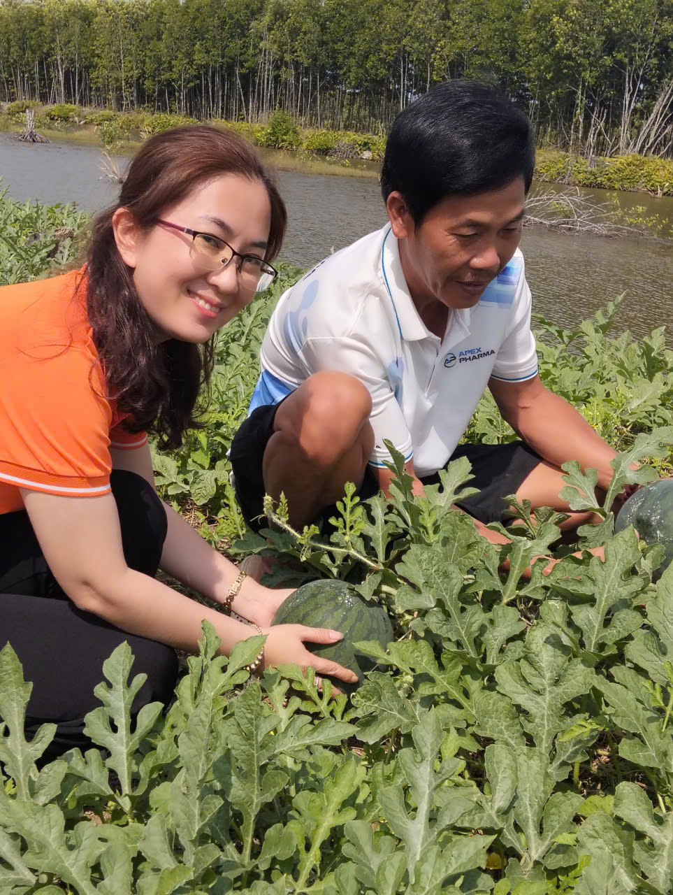 Hội LHPN xã Phan Ngọc Hiển đến thăm Mô hình trồng rau màu trên đất nuôi tôm cho thu nhập ổn định