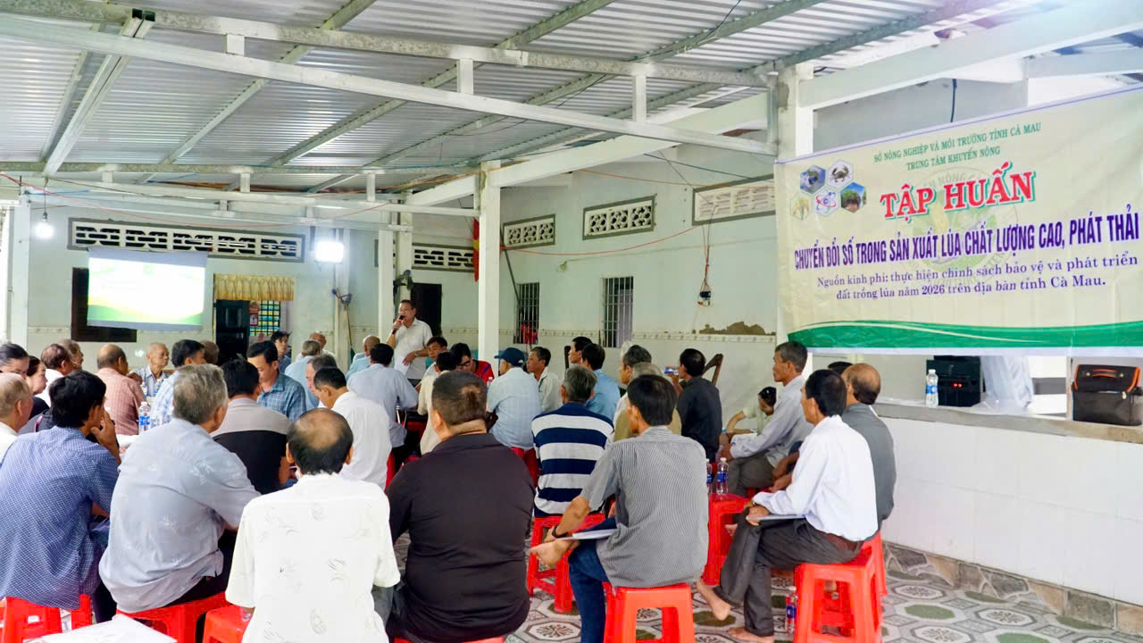 HƯNG MỸ TẬP HUẤN SẢN XUẤT LÚA CHẤT LƯỢNG CAO, PHÁT THẢI THẤP
