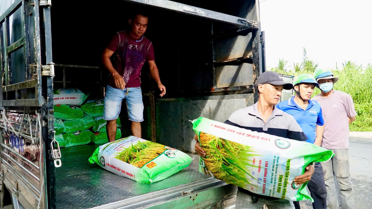 HƯNG MỸ CẤP 2,5 TẤN LÚA GIỐNG BL9 CHO NÔNG DÂN