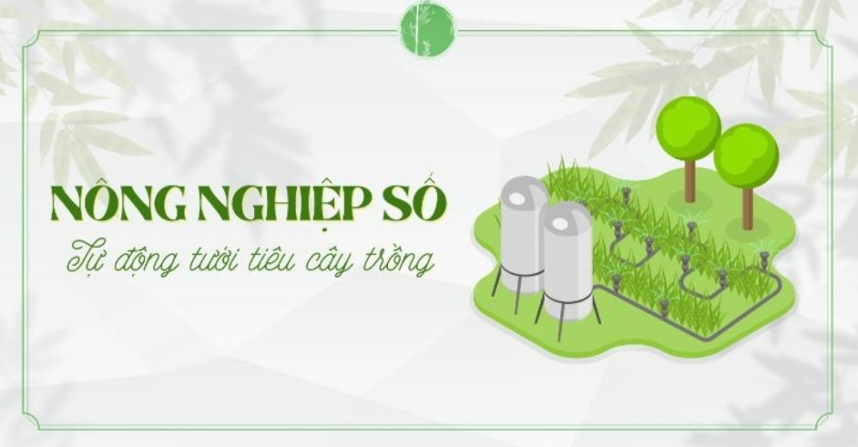 Nông nghiệp số: Tự động tưới tiêu cây trồng