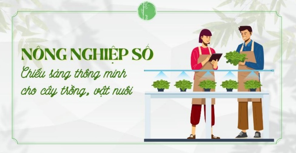 Nông nghiệp số: Chiếu sáng trong cây trồng và vật nuôi