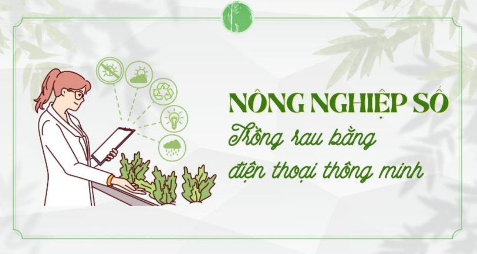 Nông nghiệp số: Trồng rau bằng điện thoại thông minh