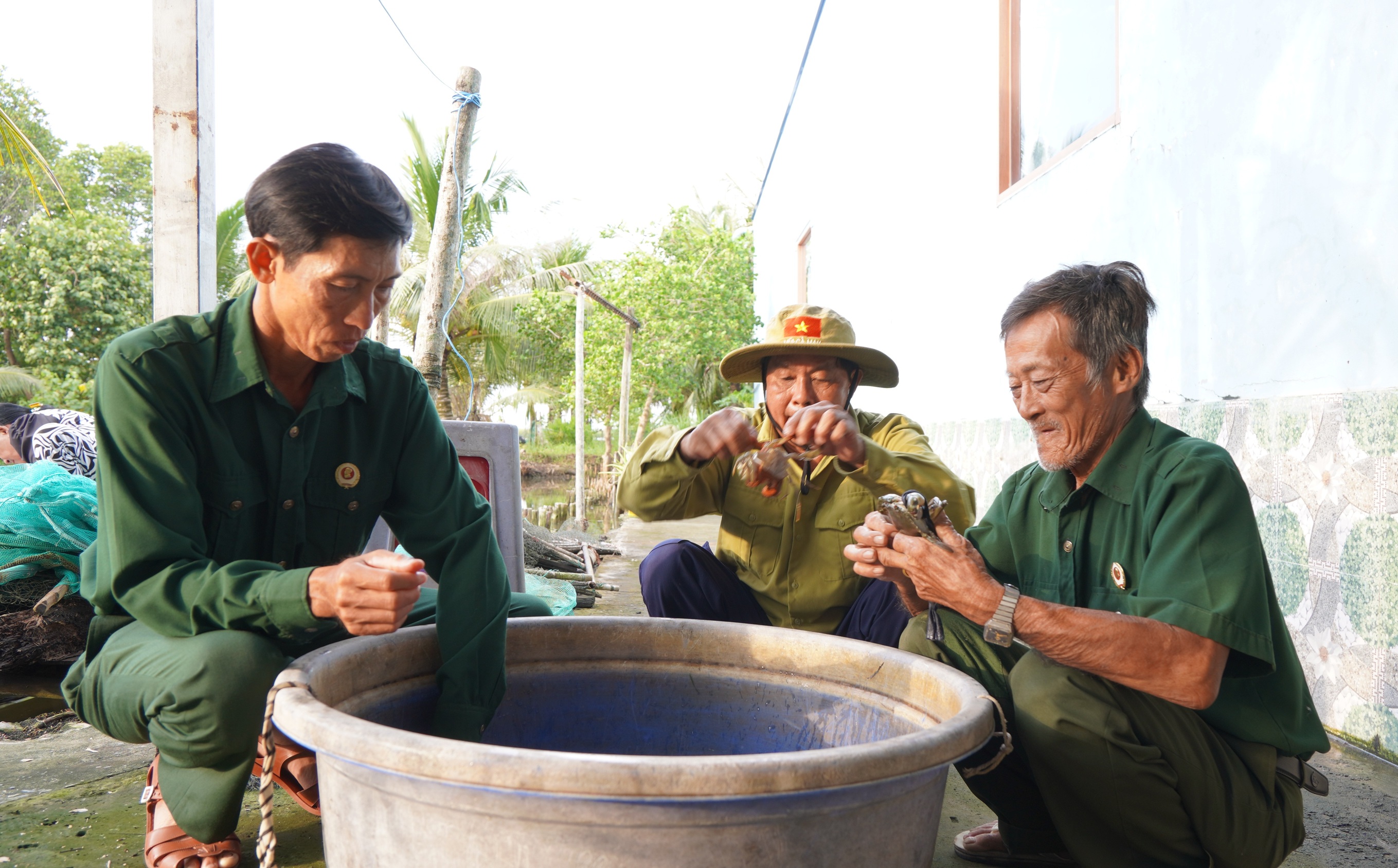 Anh-tin-bai