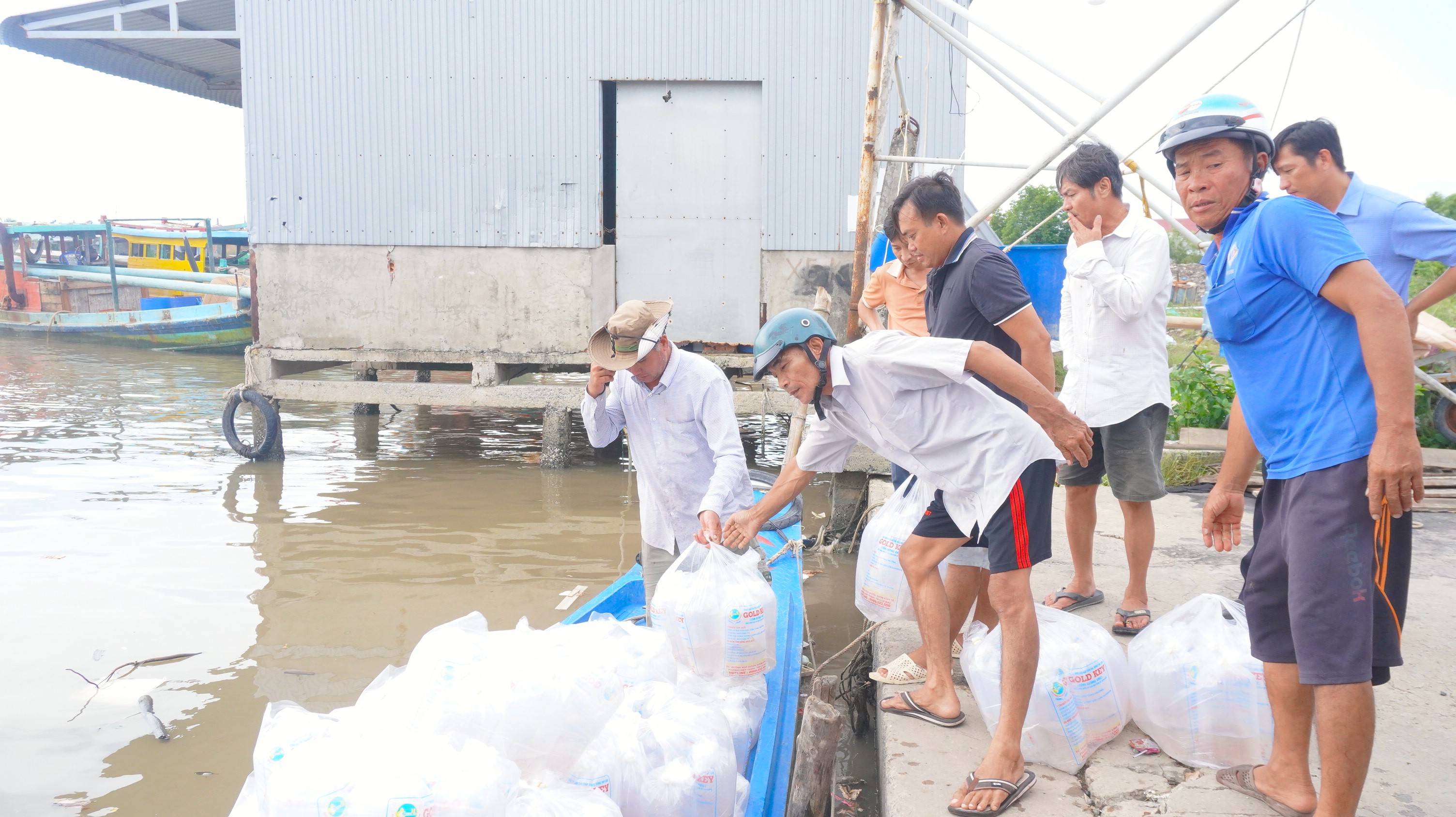 Sông Đốc chuyển giao 3 triệu tôm sú giống cho dự án 100ha nuôi tôm sinh học