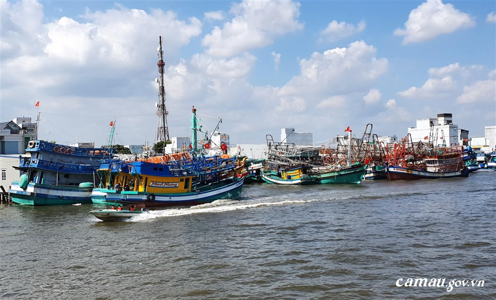 Quyết liệt chống khai thác IUU, góp phần tháo gỡ “Thẻ vàng” EC