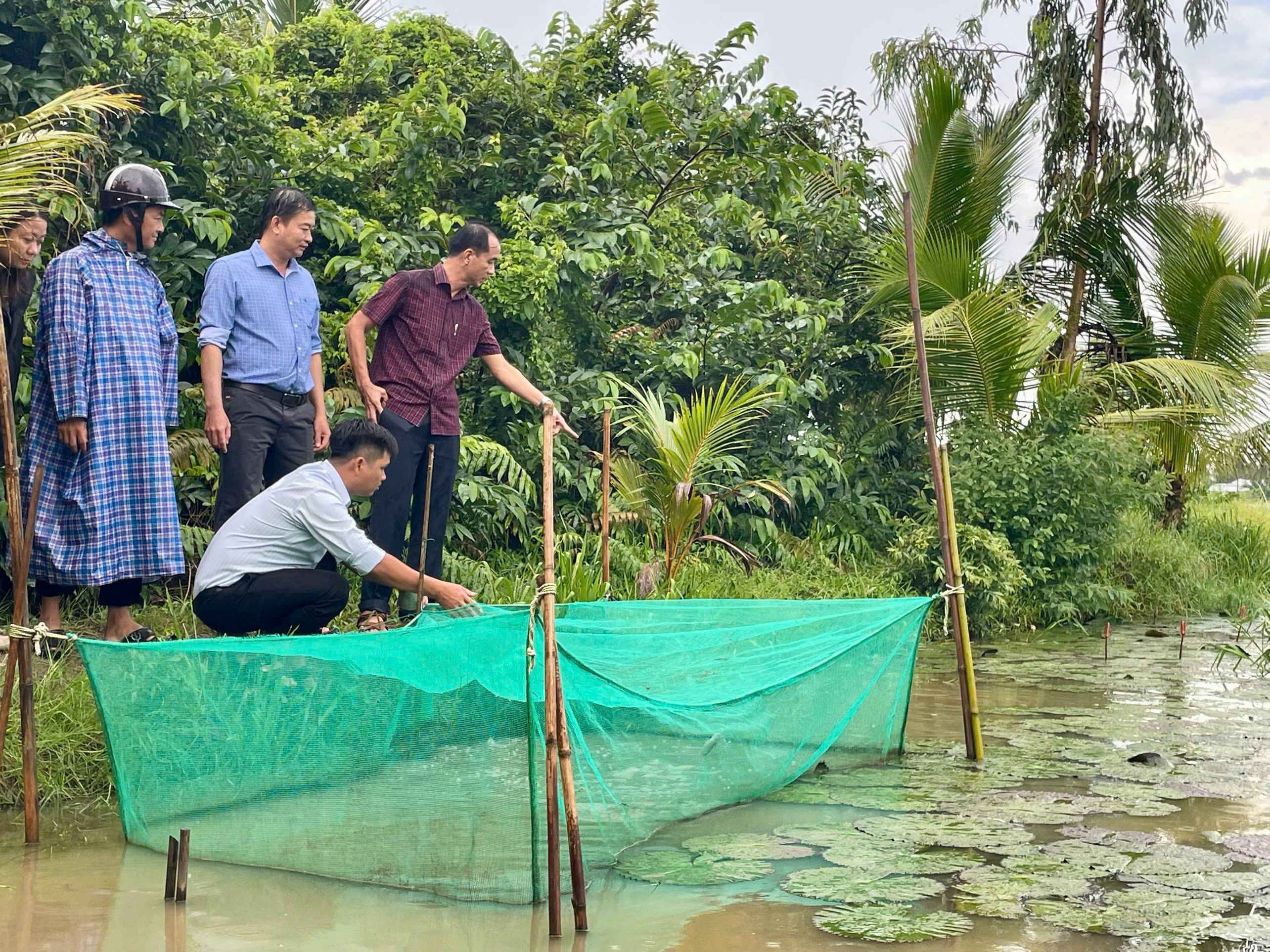 KIỂM TRA ĐỊNH KỲ VÀ ĐÁNH GIÁ SỰ PHÁT TRIỂN CỦA MÔ HÌNH NUÔI THỦY SẢN TRÊN ĐẤT TRỒNG LÚA