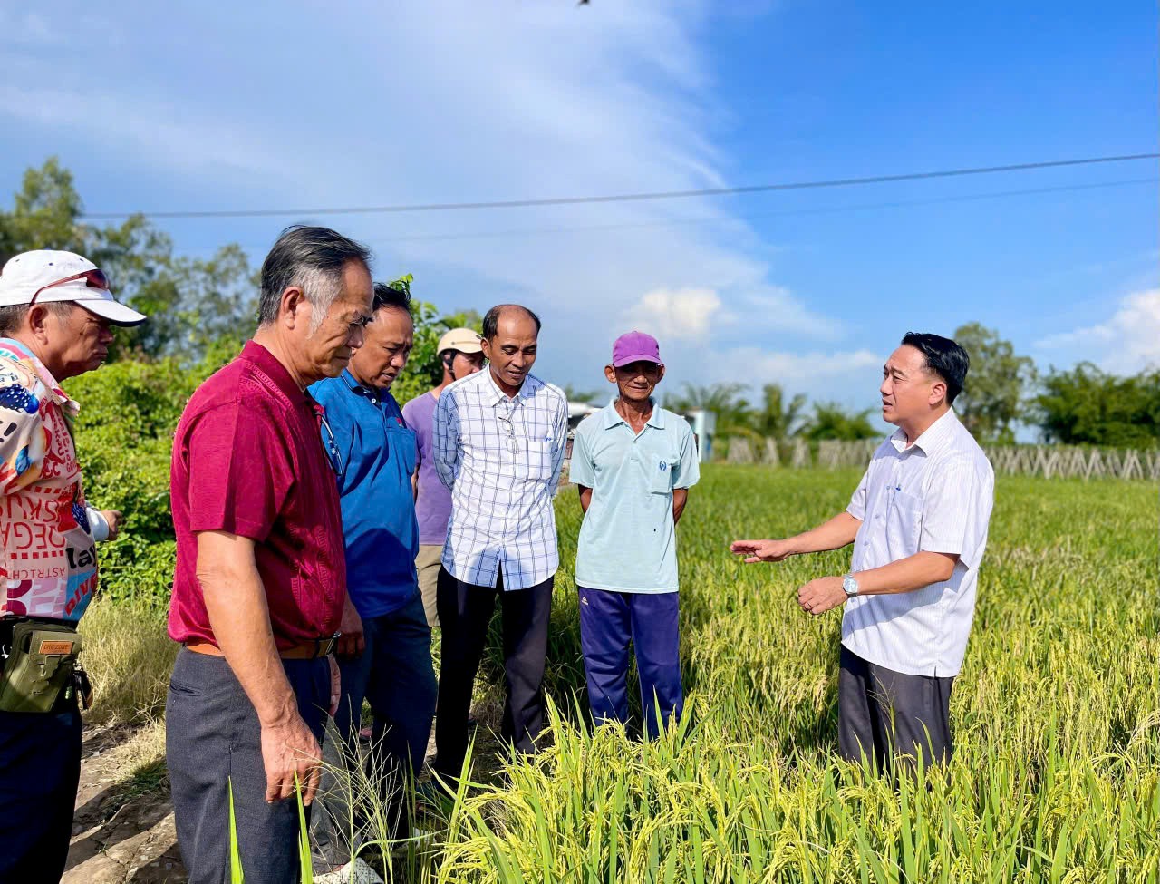 Bí thư Đảng ủy xã Hưng Hội thăm đồng, khảo sát mô hình liên kết sản xuất lúa tại ấp Cái Giá, xã Hưng Hội